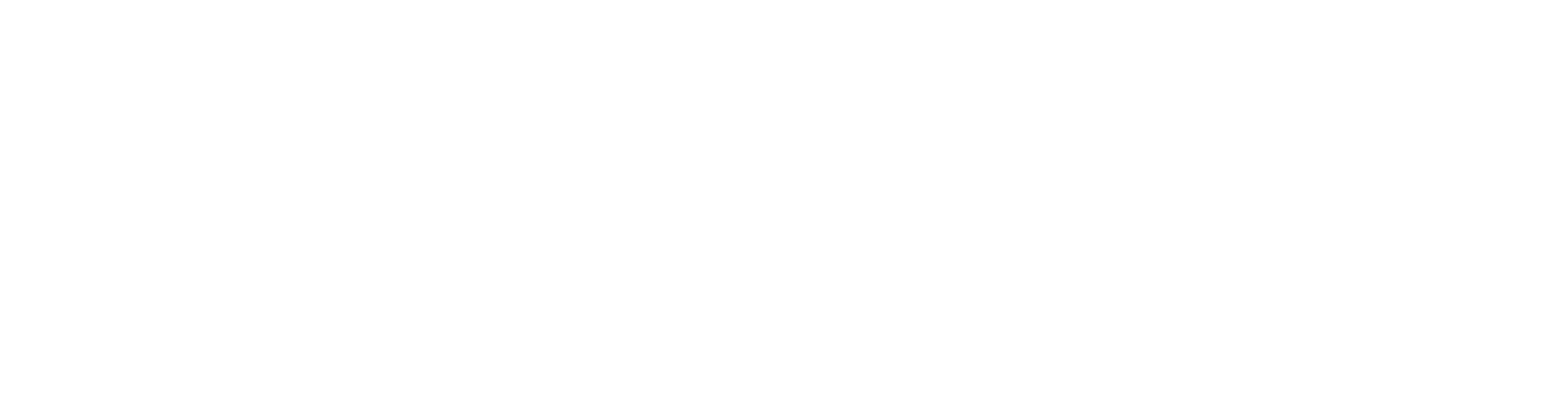APWA Chicago Metro Chapter